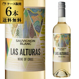 【1本あたり615円(税込)】送料無料 ラス アルトラス ソーヴィニヨン ブラン 750ml 6本入チリ 辛口 白ワイン ケース 浜運A チリコスパ【ポイント対象外】