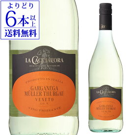 【40％OFF】【よりどり6本以上送料無料】 ガルガーネガ ミュラー トゥルガウ ヴェネト IGT ラ カチャトーラカルディローラ750mlイタリア フリッツァンテ 微発泡 プチプチ シュワシュワ 弱炭酸 微炭酸 白ワイン 辛口 浜運A ワイン