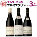【13,801円→特価12,420円 10％OFF 7/18～21 11時迄】1本あたり4,600円(税込)送料無料プレミアムブルゴーニュ 赤ワイン3本セット プルミエクリュ入り 6弾 ファインズワインセット 赤ワイン 浜運A 送料無料 手土産 お祝い ギフト いちおし赤 お中元 御中元