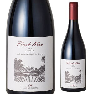 yNłP5{ 10/30`/31zsm l EuA IGP [2015] }h[k 750mlC^A t{fB h Mtg v[g ԃC l^A