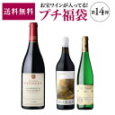 【送料無料】お宝ワインを探せ！ プチ福袋 第14弾！第14弾は7/5 20時～販売開始予定【先着200セット】お一人様5セットまで WK 赤ワイン 白ワイン リカーマウンテン 福袋 お中元 御中元予約 2025/7/11以降発送予定【ポイント対象外】