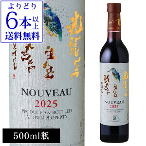 �y���ǂ�6�{�ȏ㑗�������z�ԃ��C�� �O�g���C�� �V��� [2025] 500ml ���{���C�� ���Y ���C�� �V�� �k�[�{�[ [2025] �O�g ���s ��y�Y ���j�� �M�t�g ���Ε� ��Ε�y�|�C���g�ΏۊO�z