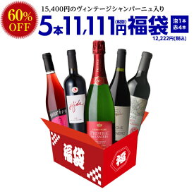 中身が見えるスペシャルワイン5本福袋11,111円(税別) 送料無料 シャンパン1本・赤ワイン4本 計5本入り お歳暮 御歳暮 浜運【ポイント対象外】