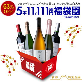 中身が見えるスペシャルワイン5本福袋11,111円(税別) 送料無料 シャンパーニュ1本 赤ワイン2本 白ワイン1本 スパークリング1本 ワイン 浜運