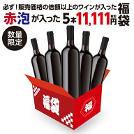 【54％OFF 送料無料】中身が見えないワイン5本福袋 赤泡計5本が入った11,111円税別福袋 ワイン福袋 ワイ…