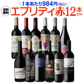 【1本あたり984円 送料無料】エブリデー赤ワイン12本セット 25弾 ワイン ワインセット コスパ 赤ワインセット 人気 赤 辛口 赤泡 フランス イタリア スペイン チリ 浜運A 手土産 お祝い ギフト