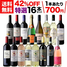 【300円OFFクーポン利用で1本あたり682円 送料無料】 目玉ワイン入り！特選ワイン 16本セット 25弾 ＜ 赤・白・・ロゼ・泡 ＞ ワイン 赤ワイン 白ワイン スパークリングワイン ワインセット 飲み比べ 辛口 プレゼント 送料無料 浜運A【ポイント対象外】