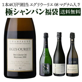 送料無料 極の シャンパン福袋運が良ければ 1本46万円相当 雲上シャンパーニュ入！【先着300本】シャンパーニュ エグリウーリエ セロス サロン WK くじ 福袋 リカーマウンテン きわみ 浜運予約 2026/6/9出荷予定