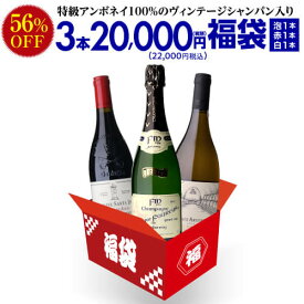 【56％OFF 1本あたり7,334円 送料無料】中身が見えるスペシャルワイン3本福袋20,000円(税別) 送料無料 ワインセット ワイン福袋 シャンパーニュ 1本 赤ワイン 1本 白ワイン1本 ワイン シャンパン 浜運A