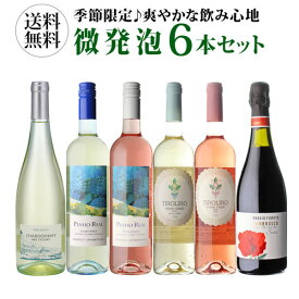 1本あたり1,100円(税込) 送料無料キンキンに冷やして飲みたい微発泡セット 750ml 6本入フリッツアンテ ワインセット スパークリングセット 泡 ワイン スパークリング 送料無料 手土産 お祝い ギフト 浜運A ワイン