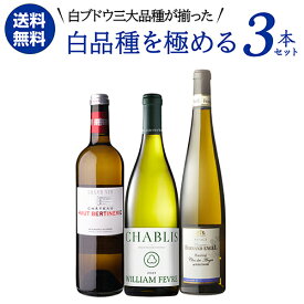 【誰でもP10倍 スーパーSALE中】1本あたり3,960円(税込) 送料無料 白品種を極める 三大品種 白ワイン 3本セット 5弾 750ml 3本入リースリング ソーヴィニヨンブラン シャルドネ ワインセット 浜運A ワイン