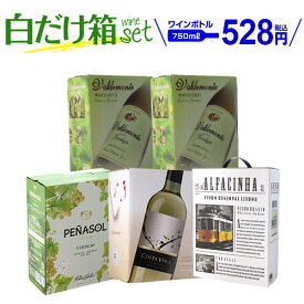 ボトル換算528円 送料無料 《箱ワイン》 4種5箱の白箱ワインセット 28弾 白ワイン セット 白 箱ワイン BOX BIB 長S 白ワインセット 送料無料 手土産 お祝い ギフト ワイン 予約 2026/6月中旬以降発送予定