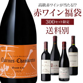 【送料別】高級ワインを探せ！ 赤ワイン福袋 第76弾！シャルム シャンベルタン 2023 ルー デュモンが入ってるかも!?【先着300セット】ボルドー ブルゴーニュ ドイツ イタリア赤ワイン リカーマウンテン WK くじ 福袋 浜運
