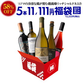 【58％OFF 1本2,445円】ワイン ワインセット 中身が見えるスペシャルワイン5本福袋11,111円(税別) 送料無料 ワイン福袋 スパークリング1本 赤ワイン2本 白ワイン2本 ギフト 誕生日プレゼント 浜運A