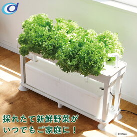 水耕栽培キット ホームハイポニカ PLAABO【全国送料無料：代引不可】協和 プラーボ 水耕栽培 栽培キット ハイポニカ キット 液肥 水栽培 液体肥料 家庭菜園 ミニトマト サニーレタス ゴーヤ シソ ハーブ バジル ブルーベリー レタス