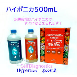 nC|jJ 500mL k͔| t̔엿 t a nC|jJt̔엿 nC|jJt ͔| 엿 t ƒ؉   