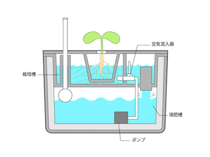 楽天市場】水耕栽培キット ホームハイポニカ MASUCO マスコ 協和栽培