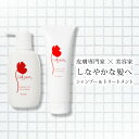 《殿堂入り》ノンシリコン シャンプー トリートメント 通常サイズ セット / ダメージヘア スカルプケア ヘアケア 美容 くせ毛 サロン専売品 ドクターズコスメ アミノ酸系 ケラチン セルピュア cellpure 美容室 美容師 髪 皮膚科