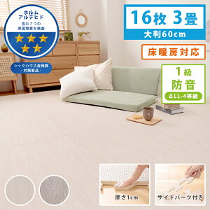 WCg}bg 唻 16Zbg 60×60cm B109 EVA t[Jbg ϋv h h q  g[ O rO 3