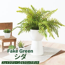 フェイクグリーン シダ セラミックポット グリーンライフ 室内ガーデン 観葉植物 人工植物 水やり不要 手入れ簡単 リラックス空間 置き型タイプ