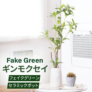 tFCNO[ MNZC Z~bN|bg O[Ct K[f ϗtA lHA sv ȒP bNX u^^Cv