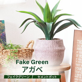 フェイクグリーン アガベ セメントポット グリーンライフ 室内ガーデン 観葉植物 人工植物 水やり不要 手入れ簡単 リラックス空間 置き型タイプ