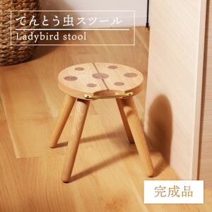 Xc[ ֎q `FA TChe[u VR RpNg ؖڒ r[` ĂƂ 킢 i` ؐ k Vv ^ъȒP y qǂ