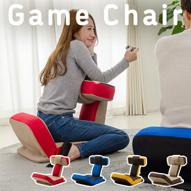 楽天市場 姿勢 クッション ゲーム用の通販