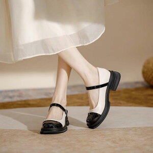 fB[X V[Y [WF[ T_ [t@[ pvX  g ueBbV t`X^C ʋΗp ig t