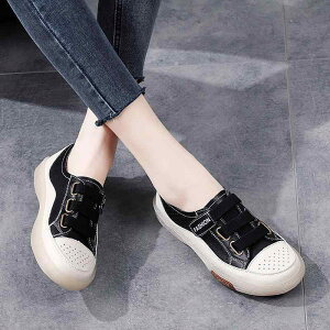 Xj[J[ fB[X t sN   }WbNe[v  JWAV[Y