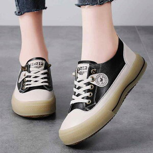 Xj[J[ fB[X {v sN ʋΗp wp Vv JWAV[Y ig _炩\[ y Lk