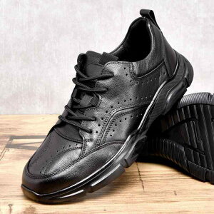 jOV[Y Y ėp {v ʋC h _炩 z AEghA Xj[J[ y