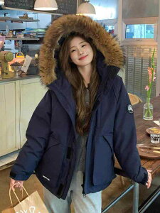 fB[X ~^[ _Ep[J[ V[g Ή t@[[ [YtBbg  g ~p AEghA R[g H y Lk