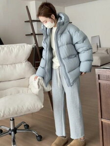 _EWPbg fB[X H~ t[ht  y  Ή ۉ _E p^ h R[g