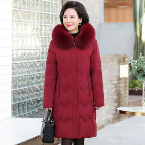 _EWPbg fB[X H~   t[ht  ؍ X^CbV _E AE^[ y g ʋ ʊw g Đ@ ubN O[ sNn