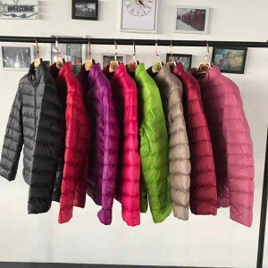 _EWPbg fB[X H~ y  V[g X t[ht ؍ h ۉ JWA ʋ X X^CbV VbN _ t@bV