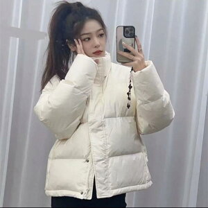 pt@[WPbg fB[X H~ V[g    ؍ g y z