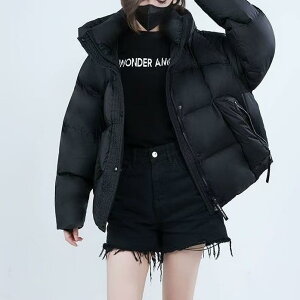 _EWPbg fB[X V[g t[ht  ۉ h H~ OtF gf y AE^[ ubN uE zCg g X