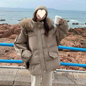 H~ fB[X _EWPbg t[ht {[t@[ JWA PF  ؍ y g h O X^CbV g