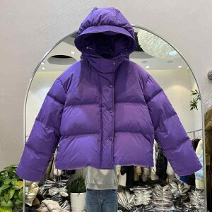 H~ fB[X t[ht V[g _EWPbg  i_E {[VGbg g ۉ y X^CbV