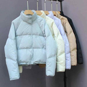 fB[X H~ V[g _EWPbg  g Vv x[VbN Ή i_E y z ʋ ʊw AEghA  ubN sNn