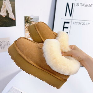 Xm[u[c fB[X  t@[t h ۉ  ȑf H~ ᓹΉ C[W[I y g Op