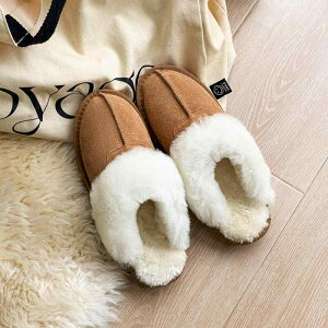 H~ fB[X Xm[u[c N  ш ітܐ O g  y n n[tXbp ڐG⊴