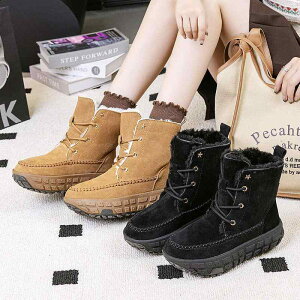 H~ fB[X Xm[u[c  h y  ȑf ᓹ Obv\[ g X^CbV