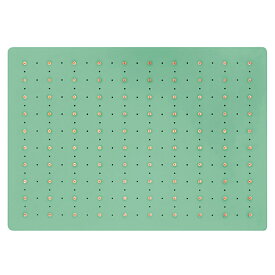 セルパップ ゼロ磁場アーシング マット100