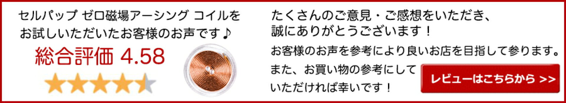 レビュー