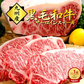 九州産 黒毛和牛 サーロインステーキ 250g×2枚 合計500g 国産牛 お肉 牛肉 冷凍 国産 WAGYU 【送料無料】お祝い 誕生日 取り寄せ お歳暮 敬老の日 サプライズ