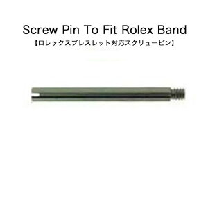 ロレックス対応 スクリューピン 単品 高精度 バネ棒 時計ベルト 時計バンド 専用部品 ステンレス 1本 ロレックス用 ロレックス 送料無料