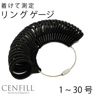 【エントリー必須！お買い物マラソンは2点購入で5倍・3点購入でP10倍】リングゲージ 1号-30号対応 リング…