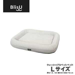 V[GW Blis.U uX ybgxbh O[  􂦂 EHbVu ̈U ʋC
